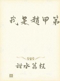 我是赵甲第小说