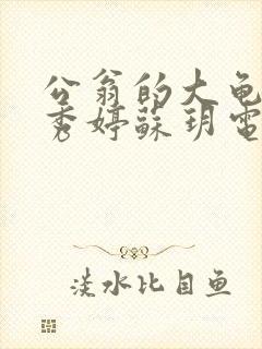 公翁的大龟挺进秀婷苏玥电影