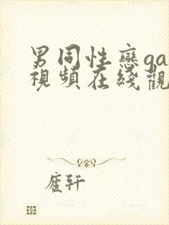 男同性恋gay视频在线观看