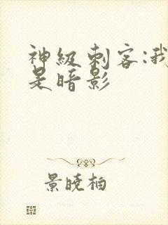 神级刺客:我即是暗影