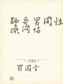 帅哥男同性恋互操网站封面