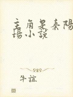 主角是秦阳的官场小说