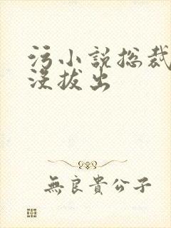 污小说总裁整夜没拔出