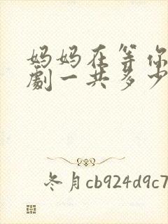 妈妈在等你电视剧一共多少集