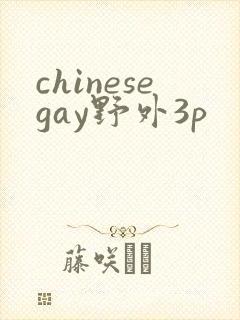 chinesegay野外3p封面