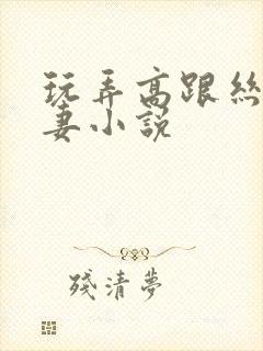 玩弄高跟丝袜人妻小说