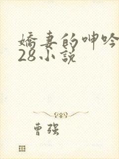 娇妻的呻吟1—28小说