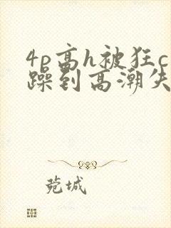 4p高h被狂c躁到高潮失禁文