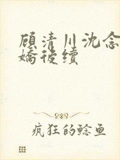 顾清川沈念李娇娇后续封面