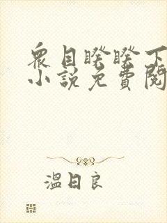 众目睽睽下的事小说免费阅读笔趣阁封面