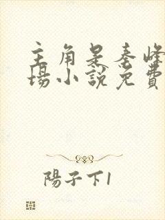 主角是秦峰的官场小说免费阅读封面