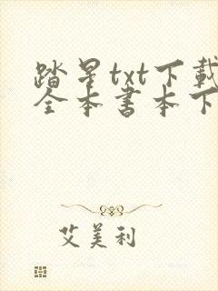 踏星txt下载全本书本下载