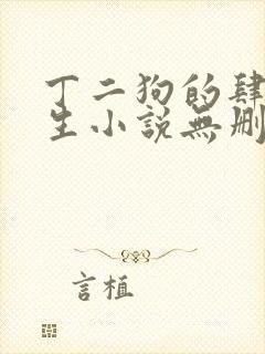 丁二狗的肆意人生小说无删减txt