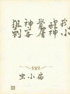 狙神觉醒我选择刺客屠神小说封面