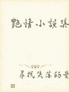 艳情小说集封面