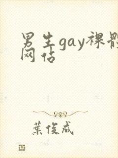 男生gay裸体网站