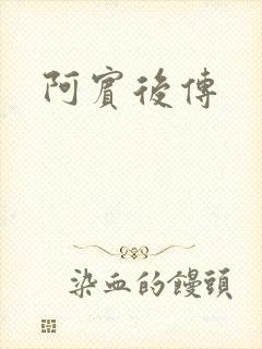阿宾后传封面