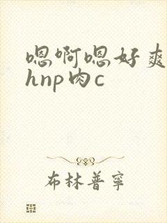 嗯啊嗯好爽啊高hnp肉c