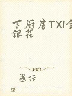 下厨房TXl金银花封面