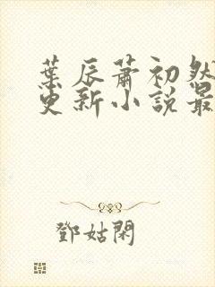 叶辰萧初然最快更新小说最新