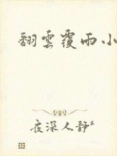 翻云覆雨小说封面