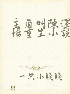 主角叫陈泽的官场重生小说