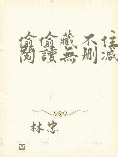 偷偷藏不住全文阅读无删减