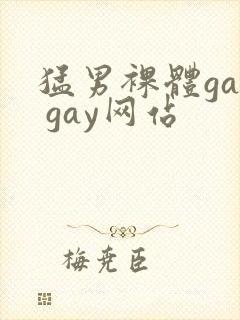 猛男裸体gay gay网站
