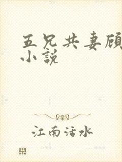 五兄共妻顾心儿小说