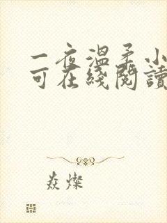 一夜温柔小说小可在线阅读