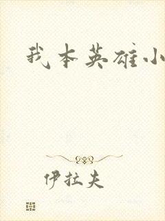 我本英雄小说封面