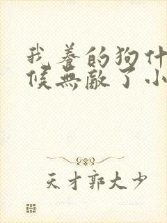 我养的狗什么时候无敌了小说免费阅读