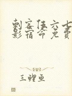 刺客伍六七之暗影宿命免费完整