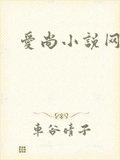 爱尚小说网