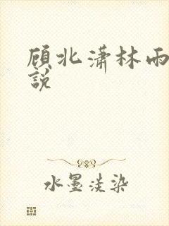 顾北潇林雨菲小说封面