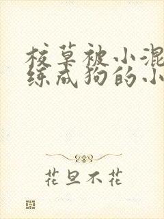 校草被小混混训练成狗的小说