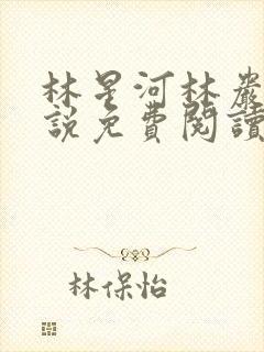 林星河林岩恪小说免费阅读笔趣阁