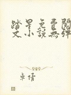 踏星免费阅读全文小说无弹窗封面