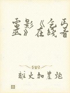 电影《乞丐与女巫》在线看免费