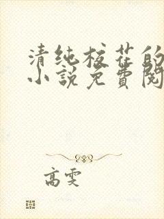 清纯校花的秘密小说免费阅读