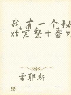 我有一个秘密txt完整+番外