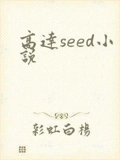 高达seed小说