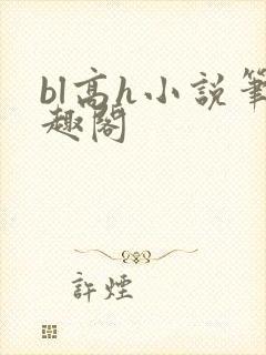 bl高h小说笔趣阁