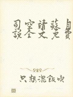 司空靖苏月汐小说全文免费阅读