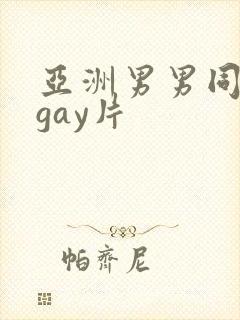 亚洲男男同性恋gay片