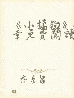 《小橘狗》68章免费阅读