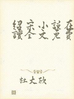 绍宋小说在线阅读全文免费