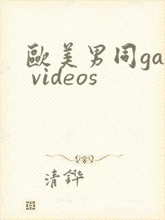 欧美男同gay videos
