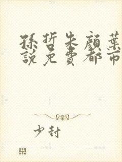 孙哲朱颜叶巧小说免费都市之医武风流