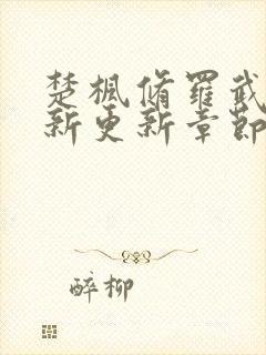 楚枫修罗武神最新更新章节